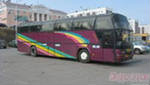 Предложение: Пассажирские перевозки на автобусах