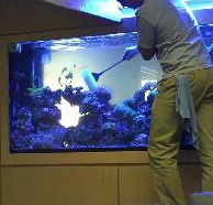 Предложение: Обслуживание аквариумов