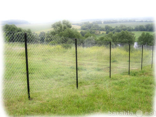 Предложение: Забор из сетки-рабицы, заборы для дачи