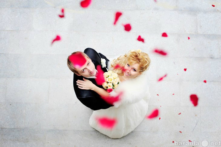Предложение: Услуги фотографа на свадьбу в Туле