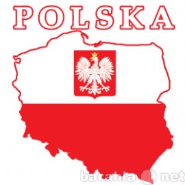 Предложение: Уроки польского языка по Skype