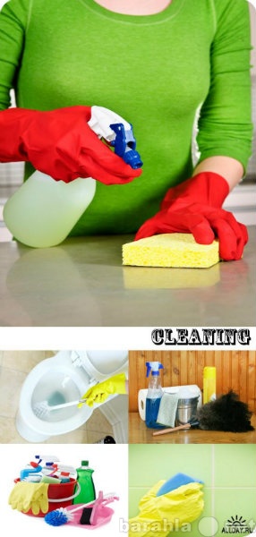 Предложение: Уборка квартир, мытье окон!