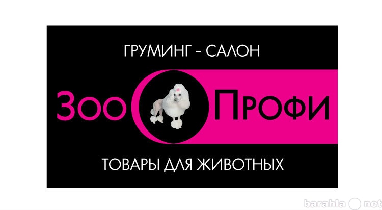 Предложение: Стрижка собак/кошек Очаково-Матвеевское