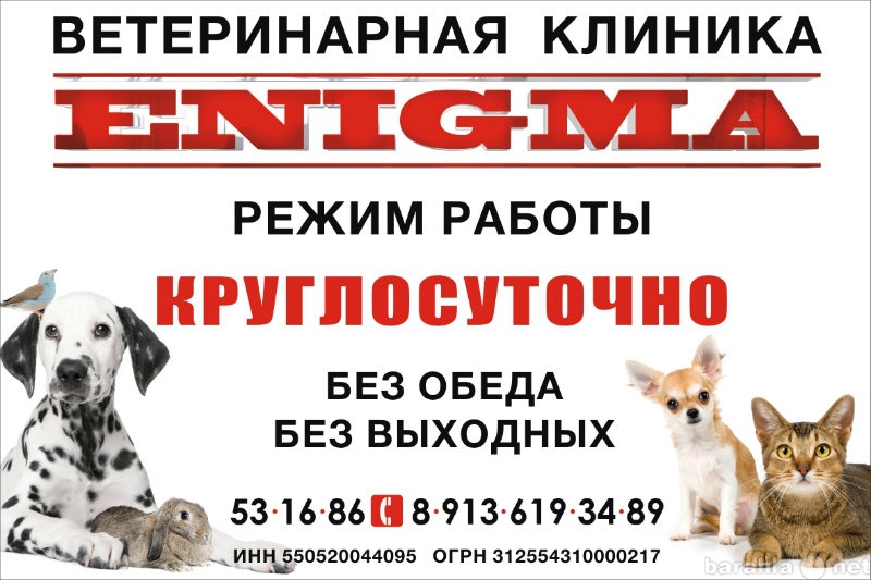 Предложение: Ветеринарная клиника ENIGMA