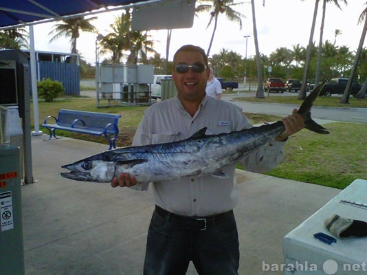 Предложение: Fishing, VIP рыбалка, Майами, США