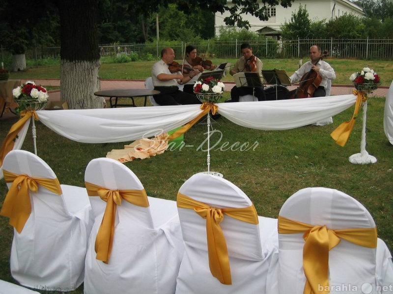 Предложение: Чехлы на стулья в аренду, свадебная арка