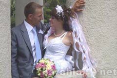 Предложение: Видеосъемка свадеб в Волгограде