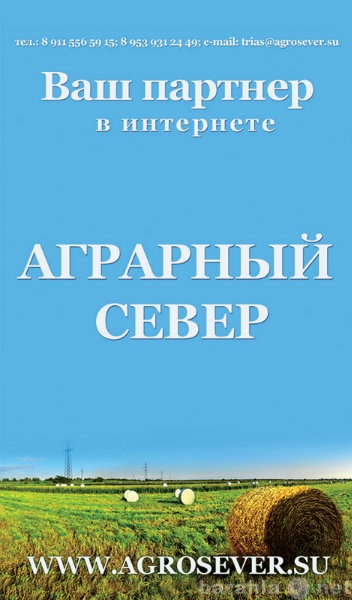 Предложение: Интернет-портал Аграрный Север