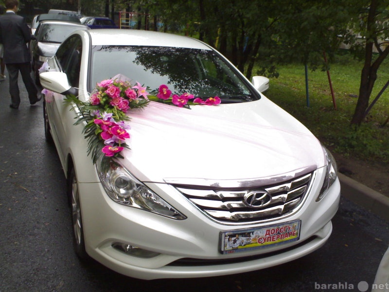 Предложение: Свадебное авто Hyndai Sonata NEW белая