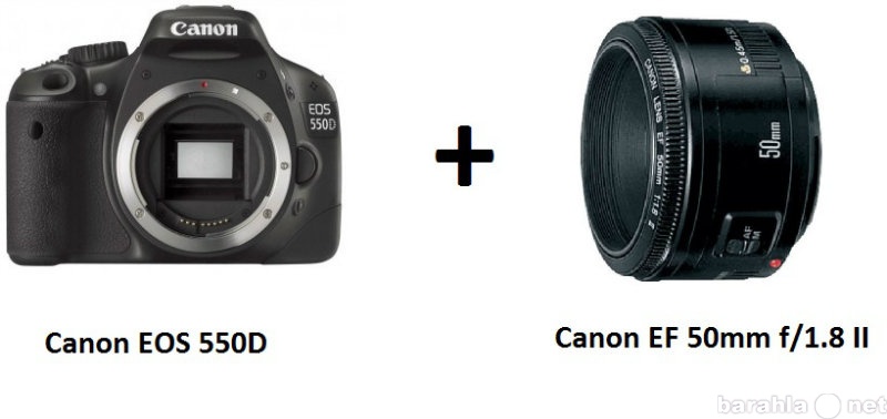 Предложение: Аренда Canon 550D + canon 50mm 1:18 II