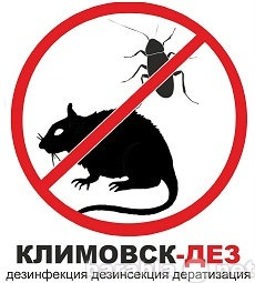 Предложение: Уничтожение Крыс, мышей