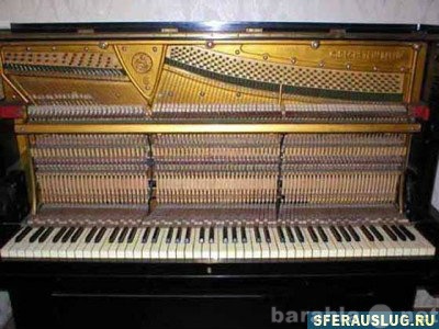 Предложение: Настройка, регулировка и ремонт пианино