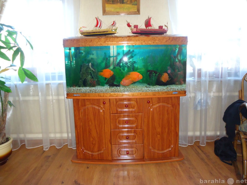 Предложение: Чистка аквариумов