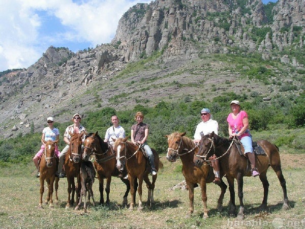 Предложение: Конный поход, тур на конях