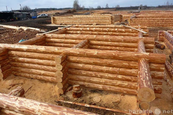 Предложение: Ремонт и строительство деревянных домов,
