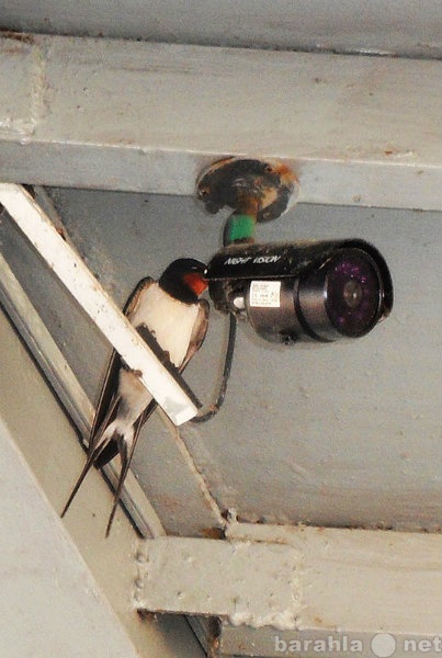 Предложение: Установить камеру видеонаблюдения