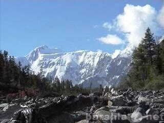 Предложение: Белуха. Кучерла. Отдых на Алтае.