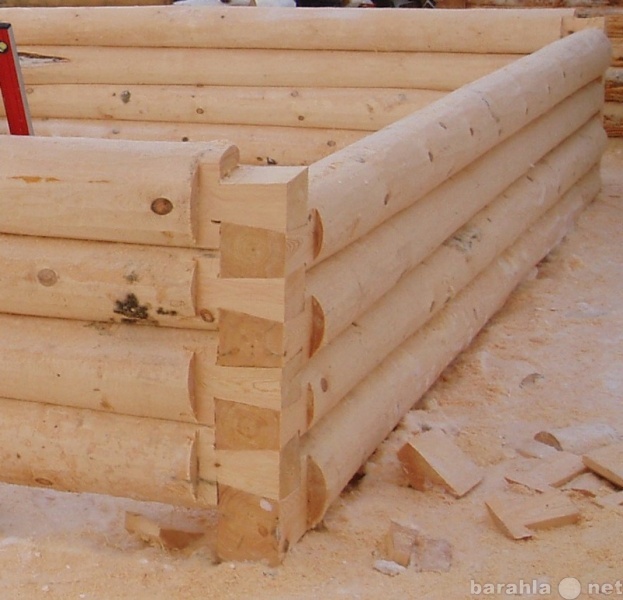 Предложение: строительство деревянных домов срубов