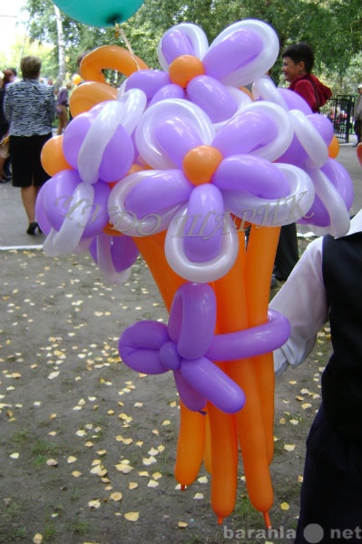 Предложение: Цветы и фигуры из воздушных шаров.