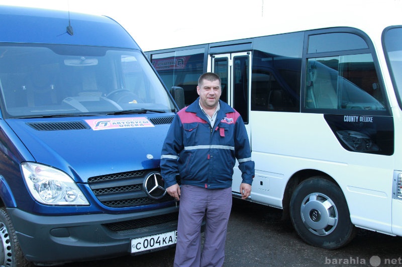 Предложение: Автобусы Омска