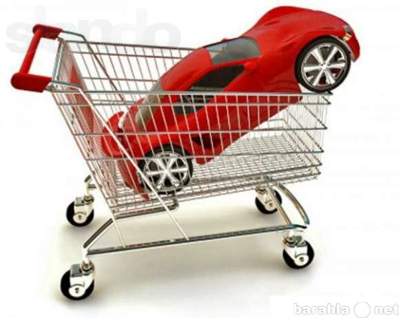 Предложение: Оформление договоров купли-продажи авто