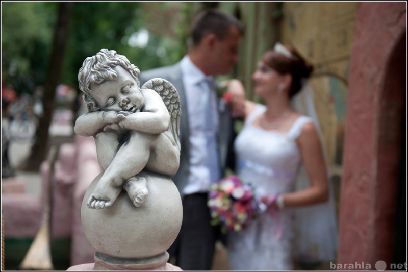 Предложение: Фотограф на свадьбу в Краснодаре.