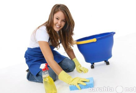 Предложение: Профессиональная уборка и химчистка