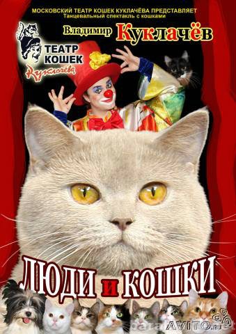 Предложение: Театр кошек Куклачева в Самаре