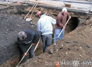 Предложение: Услуги землекопов, грузчиков