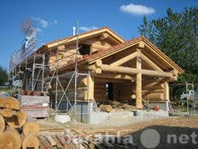 Предложение: Строительство деревянных домов из оцилин