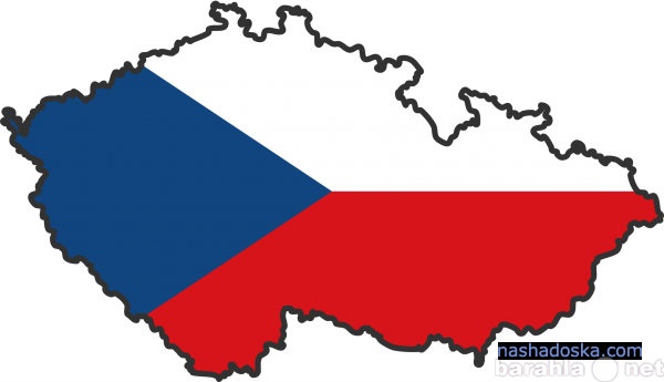 Предложение: Чешский язык для общения!
