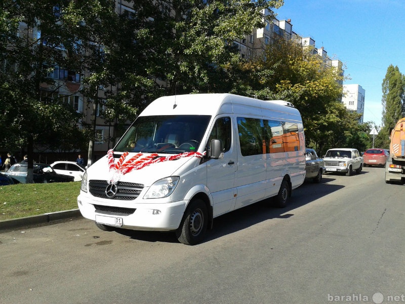 Предложение: обслуживание свадеб, торжеств юбилеев