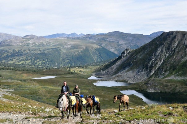 Предложение: Конные походы в горы Алтая