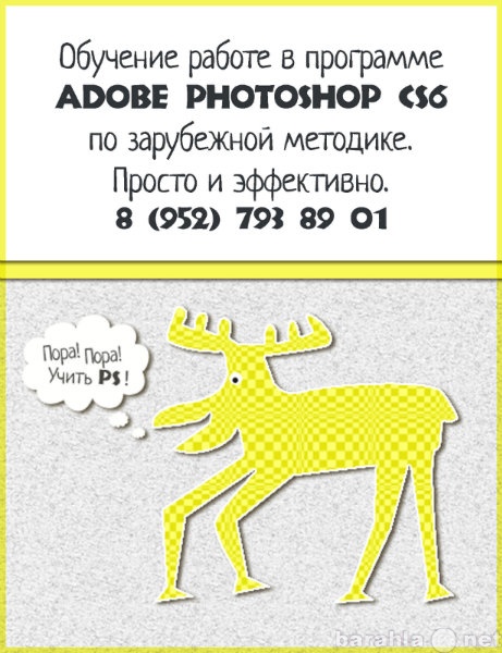 Предложение: Обучение работе в  Adobe Photoshop CS6