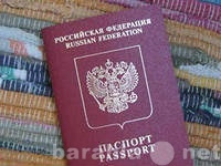 Предложение: Помощь в оф. Загранпаспорта и Паспорт.
