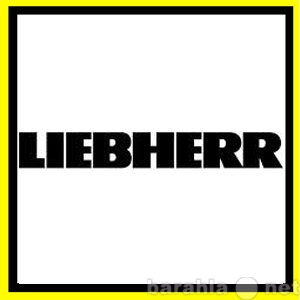 Предложение: Ремонт холодильников Либхер Liebherr
