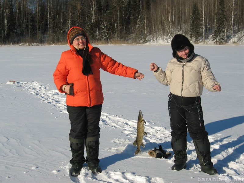 Предложение: Рыбалка и отдых на озере в Вологодской о