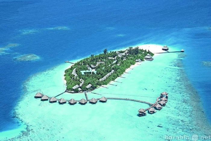 Предложение: "Отдых на Мальдивах"