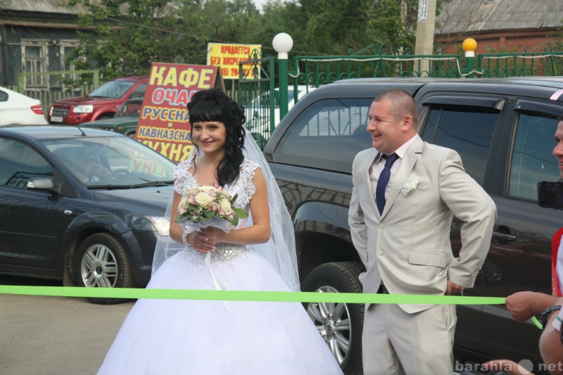 Предложение: Свадьба в Химках . Тамада и диджей.