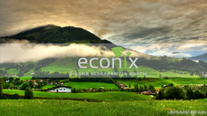 Предложение: Econix Trading Company