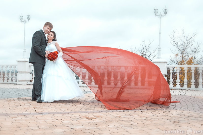 Предложение: Фотограф на свадьбу