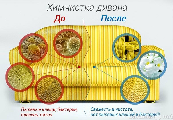 Предложение: Химчистка мягкой мебели г. Новокуйбышевс