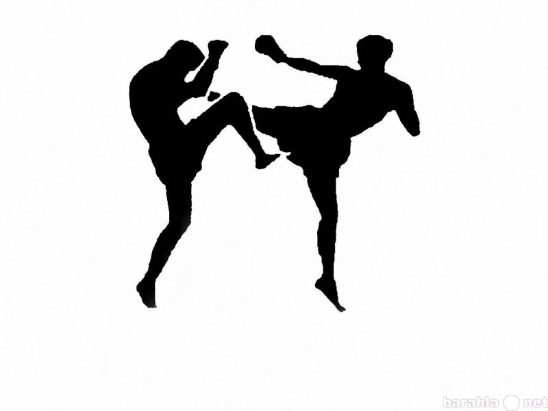 Предложение: Бокс,Кикбоксинг, Тайский бокс.
