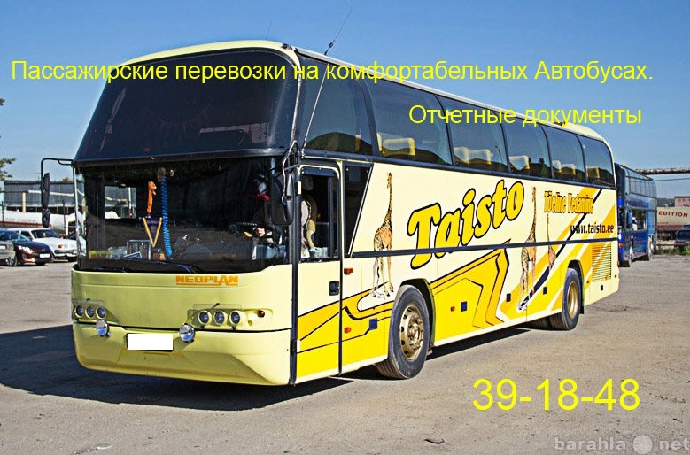 Предложение: пассажирские перевозки автобусами