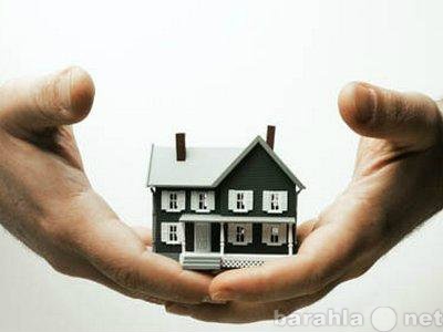 Предложение: Услуги в сфере недвижимости