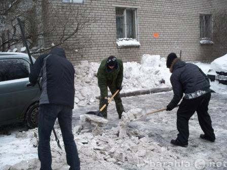 Предложение: Уборка и вывоз снега