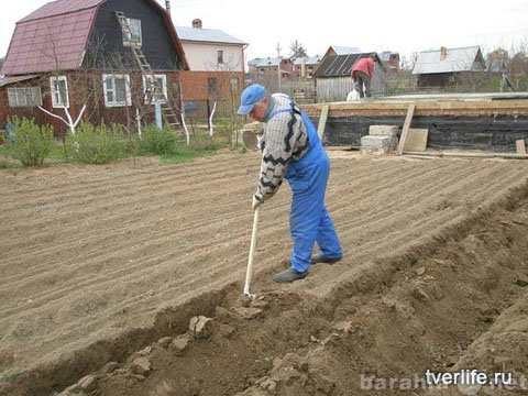 Предложение: Земляные работы вручную