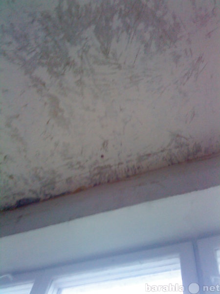 Предложение: Потолок шпатлёвка, покраска от 200руб.