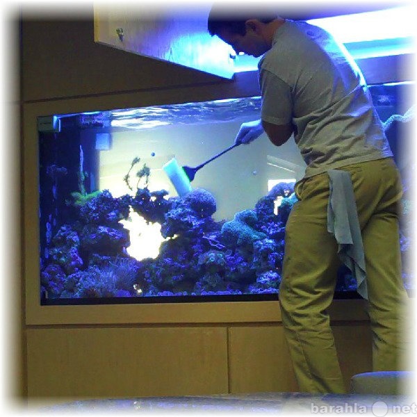 Предложение: Чистка и обслуживание аквариумов