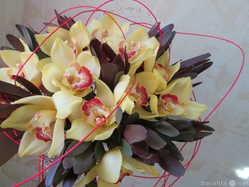 Предложение: Букет из орхидей